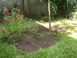 Comme le printemps en automne...