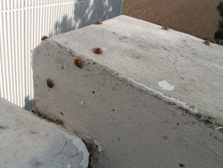 Bient&ocirc;t l'hiver!