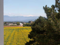 Le jour apr&egrave;s la pluie