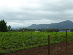 De Ban Kapeu &agrave; Vientiane,bis.