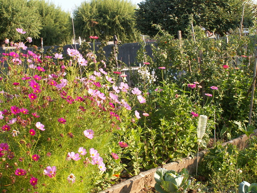 Plaisir des yeux(3, les  autres)