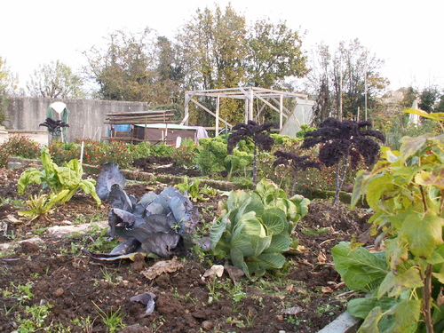 Chroniques du potager 18