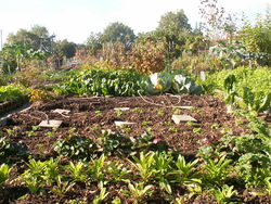 L'automne, fin ou recommencement?