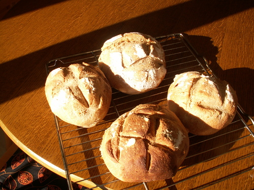 Exp&eacute;rimentation en confinement