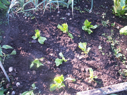 1er ao&ucirc;t,l'&eacute;t&eacute; bascule!