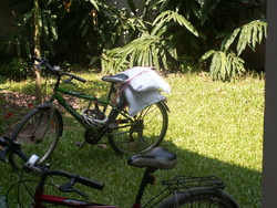 Comme le printemps en automne...