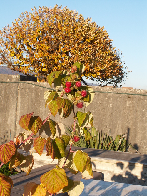 Novembre en beaut&eacute;!