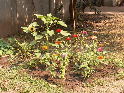 jardin de l'amiti&eacute;