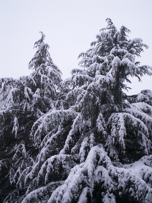 La premi&egrave;re surprend toujours!