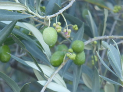 Changement climatique/ພູມິອາກາດກຳລັງປ່ຽນແປງ