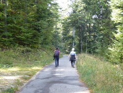 Le pays o&ugrave; l'on est n&eacute;...