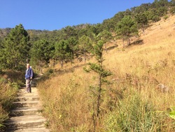 carri&egrave;re et tunnel