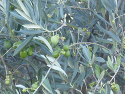 Changement climatique/ພູມິອາກາດກຳລັງປ່ຽນແປງ