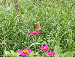 De Ban Kapeu à Vientiane