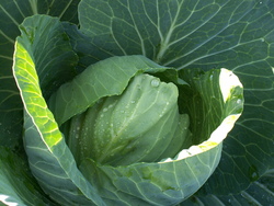 L'automne, fin ou recommencement?