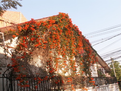 Côté rue toujours!