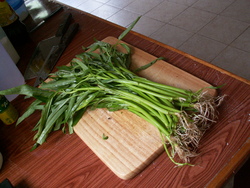 L&eacute;gume du jour