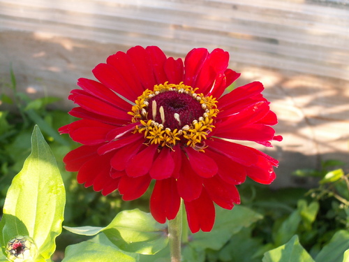 1er ao&ucirc;t,l'&eacute;t&eacute; bascule!