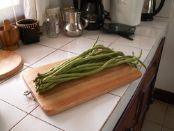 Haricots kilom&eacute;triques