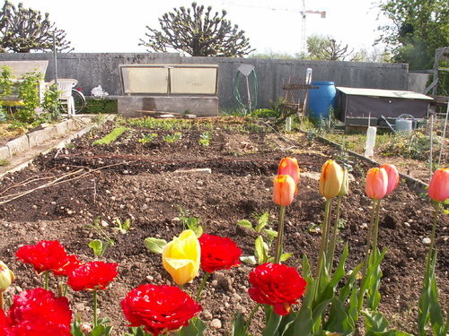 Printemps cl&eacute;ment, mais un peu sec!