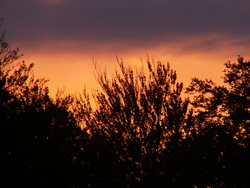 soir/ໃນເວລາຕອນແລງ