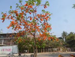 M&eacute;kong samedi matin