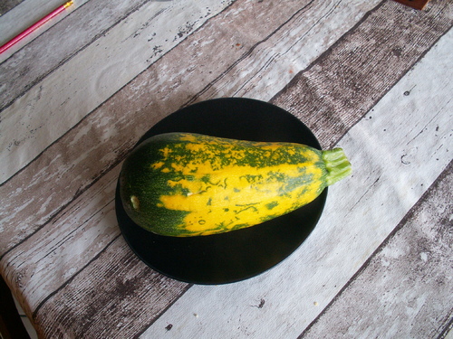 Surprises v&eacute;g&eacute;tales!