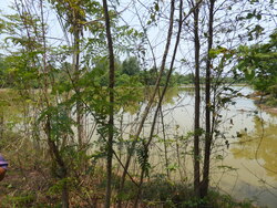 Thadindeng &agrave; v&eacute;lo (suite)