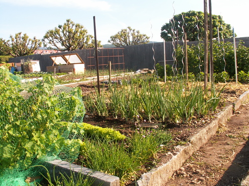 Diversit&eacute; mara&icirc;ch&egrave;re!