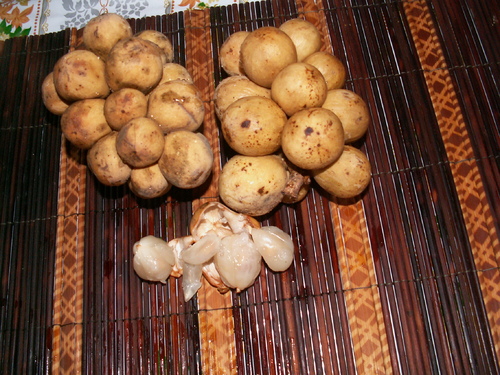 mak longgong, ou les apparences