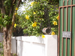 Four &agrave; vapeur!