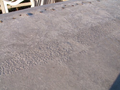 Chroniques du potager 17