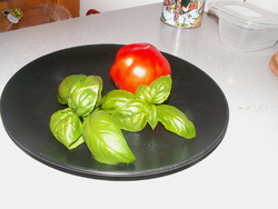 Chronique du potager10