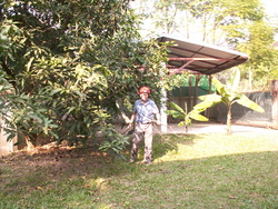 De l'ordre dans le jardin