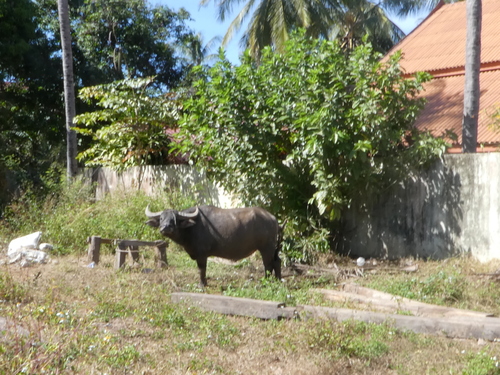 Attapeu, ville &agrave; la campagne