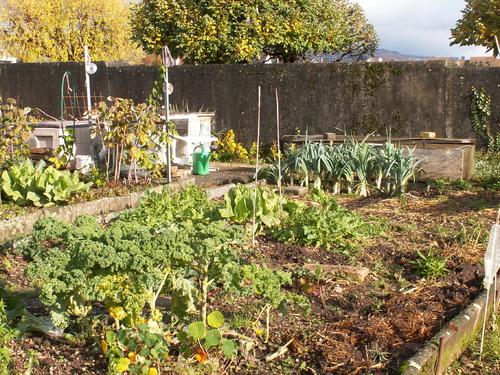 Mon jardin n'est pas v&eacute;gane...