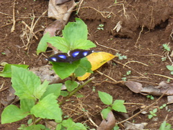 De Ban Kapeu à Vientiane