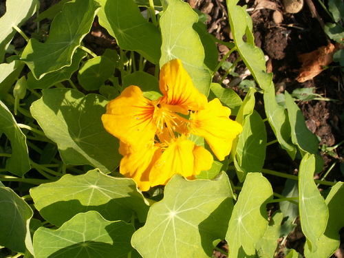 Presque l'&eacute;t&eacute;!