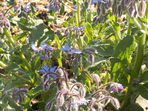 Diversit&eacute; mara&icirc;ch&egrave;re!