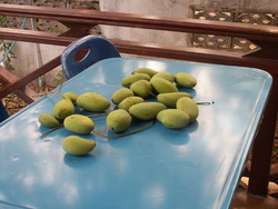 B&eacute;n&eacute;fices de la saison chaude!