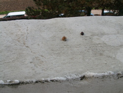 Bient&ocirc;t l'hiver!