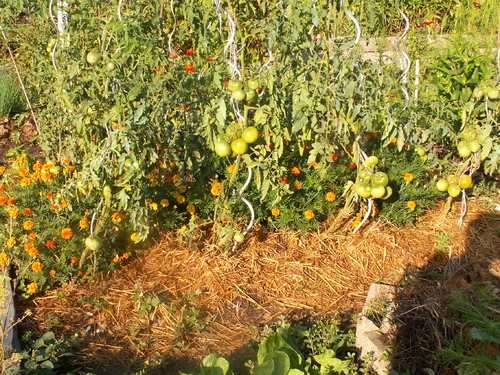 1er ao&ucirc;t,l'&eacute;t&eacute; bascule!