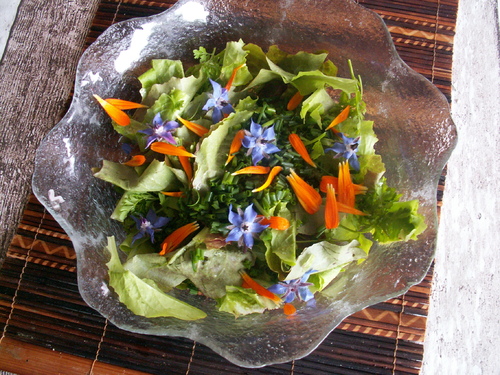 Bonheur printannier!