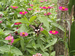 De Ban Kapeu à Vientiane
