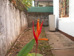 M&ecirc;me dans les coins recul&eacute;s