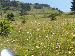 ເວລາຫວ່າງ