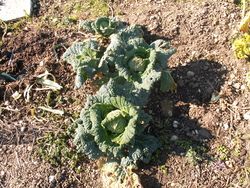 Transition saisonni&egrave;re