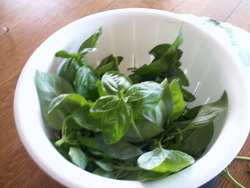 Pesto