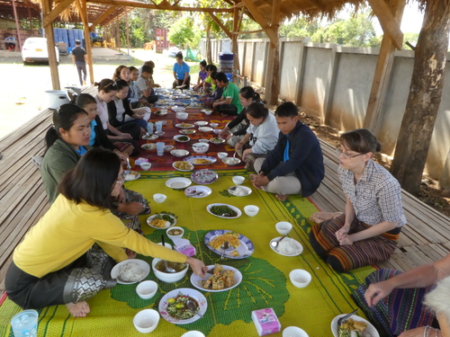 Paks&eacute;, TerraClear