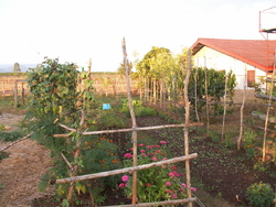 Jardin mod&egrave;le